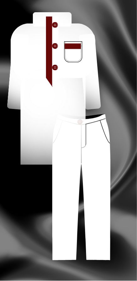 White and burgundy template